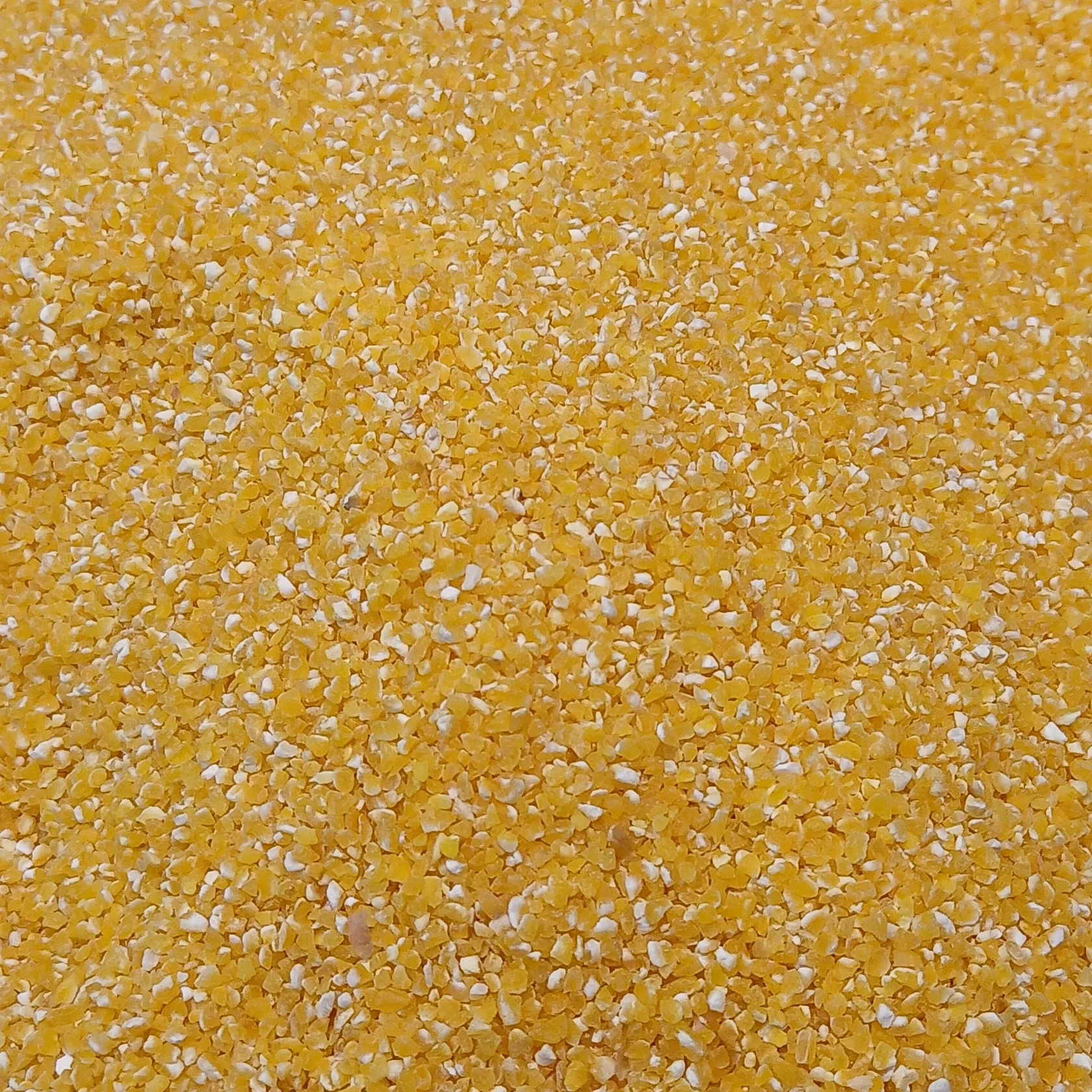 Golden corn grits