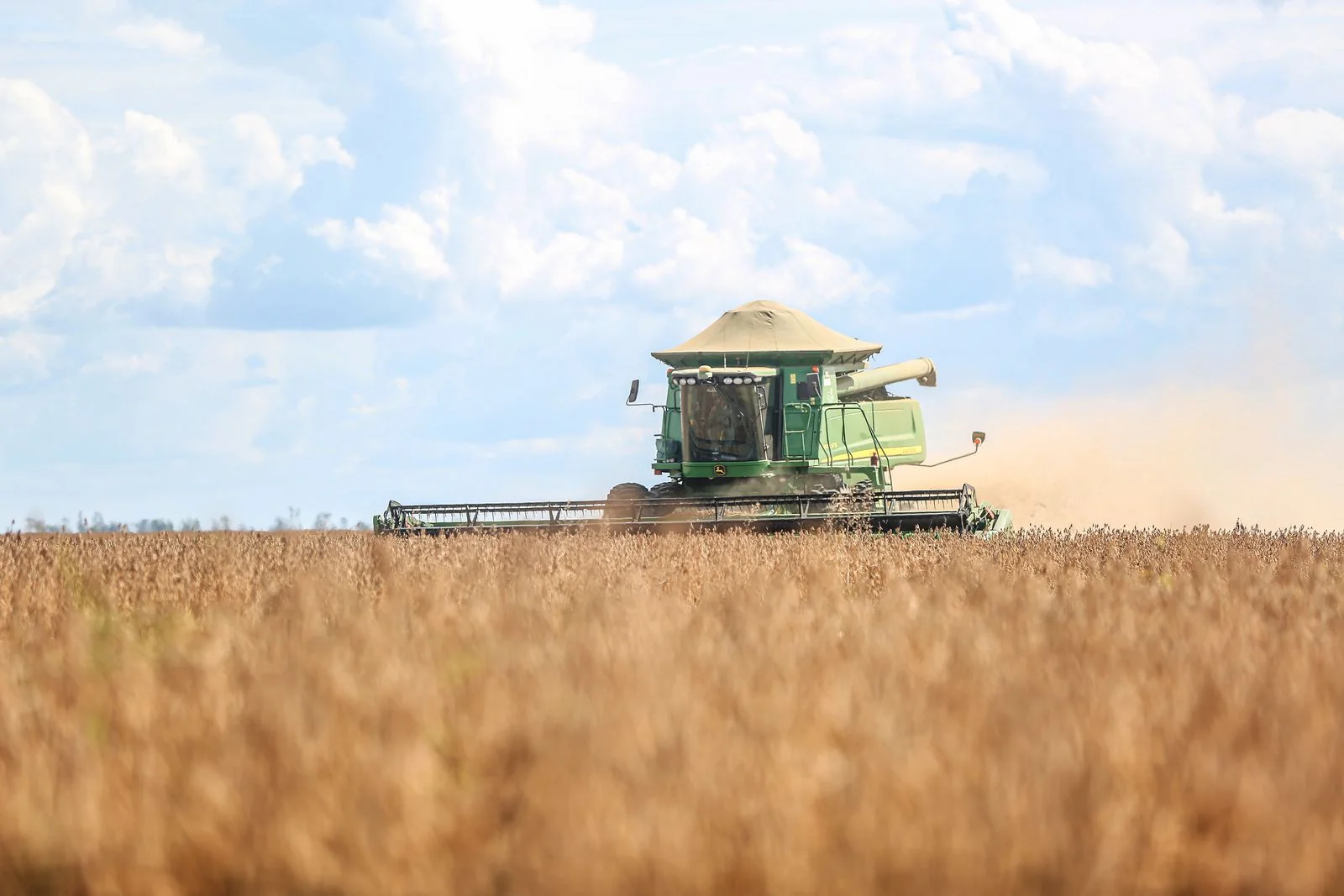 Soybean crop ready for ingredient production